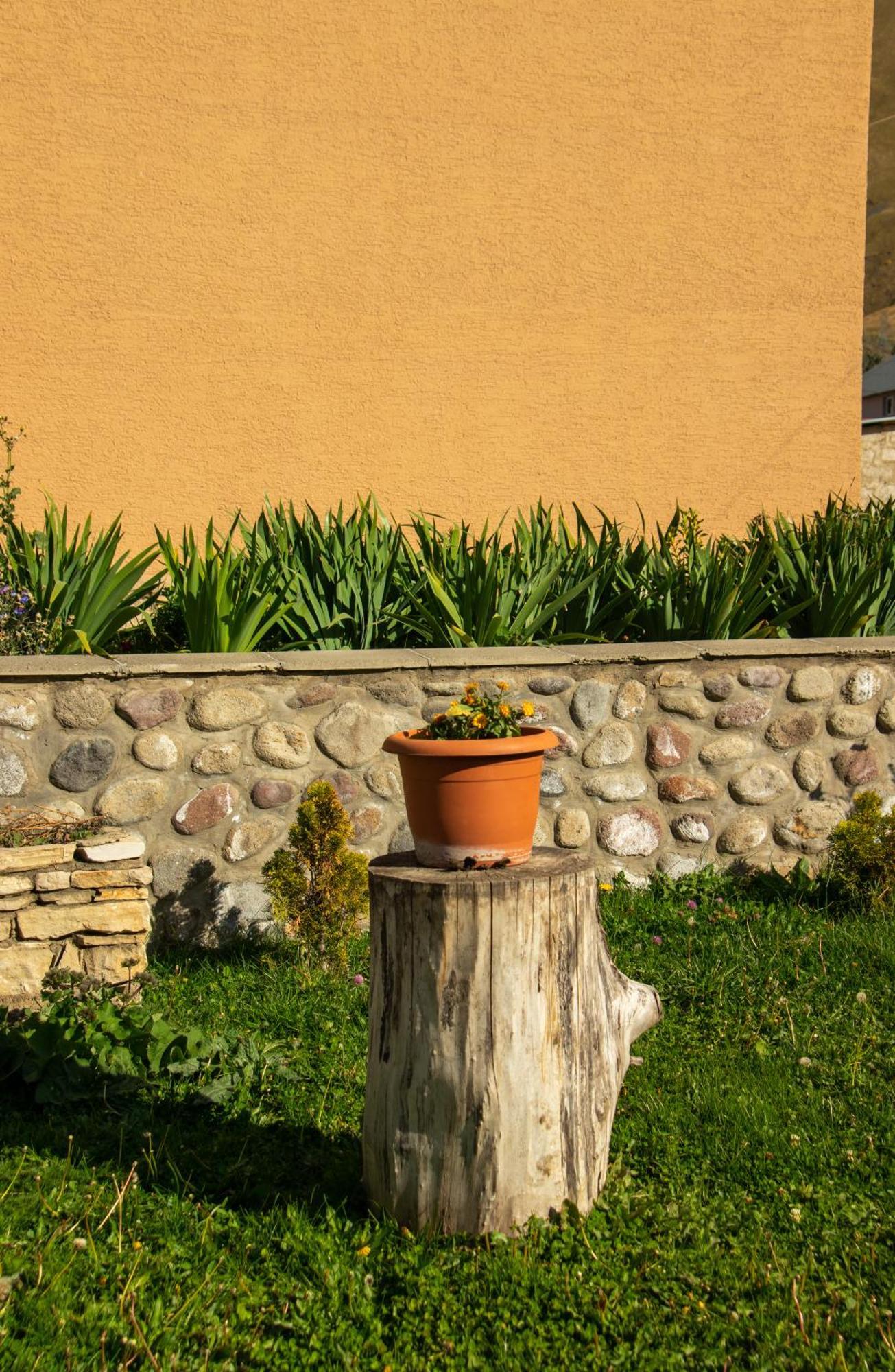 Guest House Oxygen Kazbegi Exterior foto